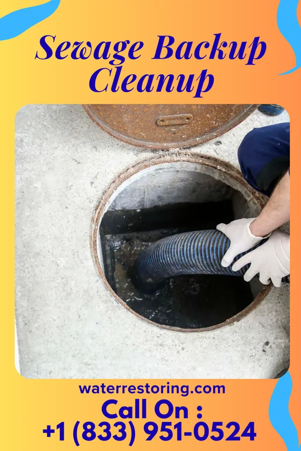 Sewage Backup Cleanup in Leavenworth, IN